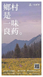 文旅调调 (1)