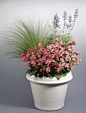 花园庭院设计新模式: 容器花园/Container gardening 
提倡有机园艺，不鼓励喷药，有病害尽量生物或机械防止。每1-2周施水溶肥，施肥频率和量因植物而异，如垂吊牵牛和大花海棠都喜欢大肥，若图省事可预先在盆下埋些缓释肥或自制肥。容器深时底下放吸水海绵储水，让土壤适度干躁后再浇水（专业词：见干见湿），室外容器在夏天连续干旱无雨时适当多浇水补充，还有如陶瓷容器土壤干燥速度快于塑料、金属或玻璃容器，吊盆失水快些，夏天太阳暴晒失水也较快。
有的植物不耐曝晒较耐雨淋，如图中的四季海棠，故最好正午遮荫。