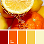 Red Color Palettes | Page 81 of 91 | Color Palette Ideas : Great collection of Red Color Palettes with different shades. Color ideas for home, bedroom, kitchen, wall, living room, bathroom, wedding decoration. | Page 81 of 91