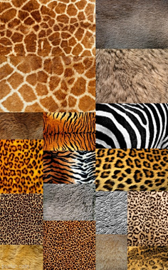 com#萌# #野生动物# #鹿# #大角鹿# #梅花鹿# #鹿角# #摄影#伤心de