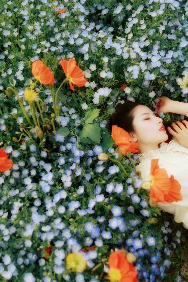 人像虞美人花海 - cecilaHCHC...