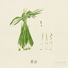 创意作品：简单朴素的蔬果插画_美食_东营大众网