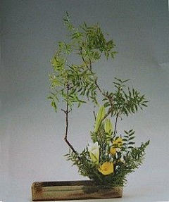 萧和果子采集到花道