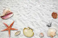 假期 海滩 酷背景 夏天 壁纸4K 太阳 Windows壁纸