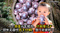 x_i_862e0ff5f61ce6267770a37ffbaba224