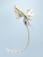 phoenix | Diagram by Satoshi Kamiya. Folded by me. Wenzhou p… | Flickr