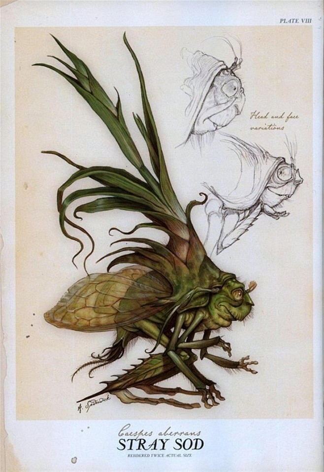 Tony DiTerlizzi——奇幻精...