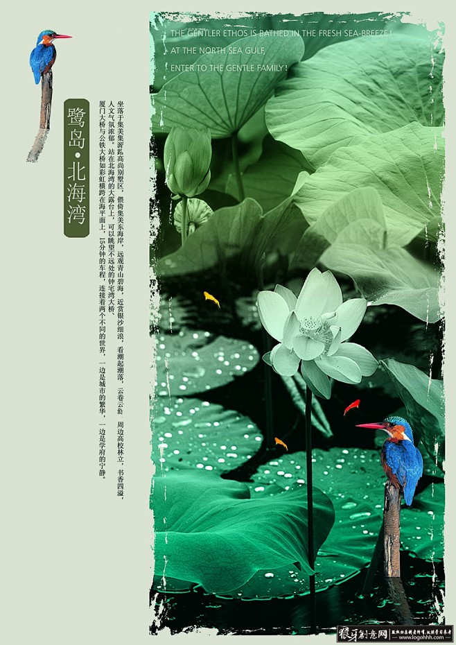 房地产素材 中国古韵荷花房地产广告 荷花...