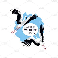 野生动物,鹳,地球,东方人,白昼,品牌名称,家庭,可爱的,濒危物种