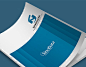 SinoData catalogue