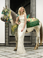 Stephanie Allin 2013 婚纱礼服系列欣赏 - 时尚摄影 - 妮兔视觉摄影网