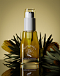 Acomora Cosmetics - "Macérât de Cassia Alata" :: Behance