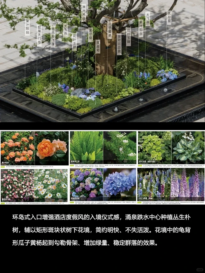 花境设计要点分享 - 小红书-花瓣网