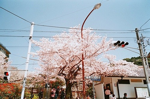 日本物语2、日本、樱花、小清新、街道