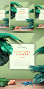 热带植物 海星 蕨类 个性卡片 绿色背景 夏日主题海报PSD_平面设计_海报
