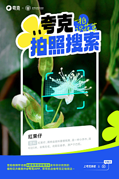 wenqileer采集到一些海报