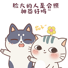 小贱猫土豆君