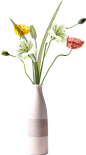 花瓶Design9999采集到植物素材 水果 花草 其他337图_花瓣