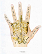 手上的穴位可以止疼痛，对应按压穴位图。 #养生#