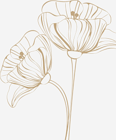 乎肘子采集到花线稿