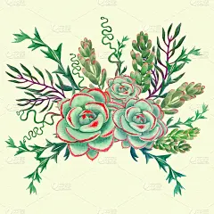 多肉植物是一种装饰成分。水彩。图形。墙纸。使用印刷品、标志、海报、明信片、包装。