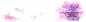 10040