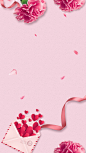 三八妇女节康乃馨H5背景素材，来自爱设计http://www.asj.com.cn