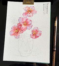 R丶神隐采集到「素材」の 手绘画作