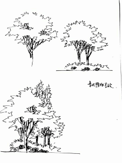 Fleming洲采集到手绘