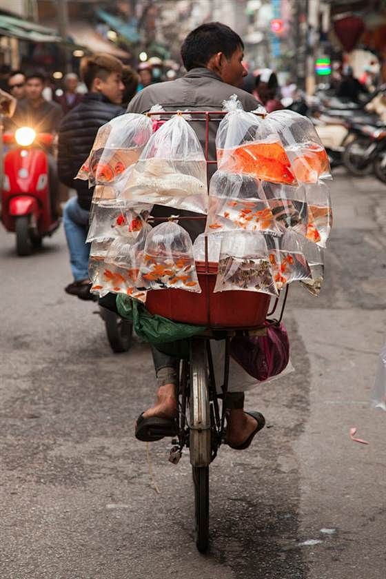 自行车上的流动鱼店。 #越南#文化#亚洲...