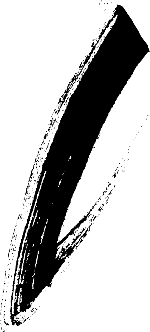 图层 14
