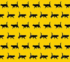 kuroneko_SP_1080_960_d 宅急送黑猫壁纸手机