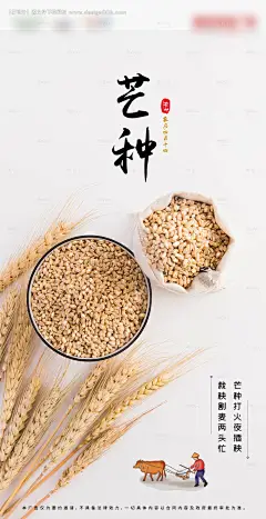编号：20200601140723113【享设计】源文件下载-简约芒种节气海报
