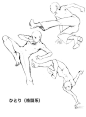 【练习素材】人体素材、动植物素材等_手绘吧_百度贴吧
