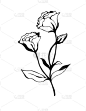 eustomia flower. vector illustration.