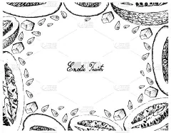 蜜瓜和奇维果手绘架