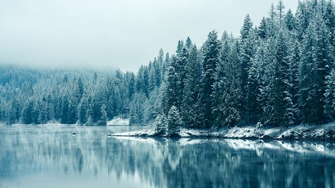 森林 雪 湖 冰#forests, #s...