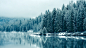 森林 雪 湖 冰#forests, #snow, #lakes, #ice, #wet, #green | Wallpaper No. 116915 - wallhaven.cc