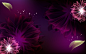 Purple Flower Backgrounds : Purple Flower Backgrounds 1302501