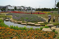 如沐春风20122012采集到乡村景