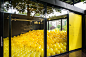 Ball.Room. / 2016 : I have created 65 different well-known as well as new emojis that have been put on 2015 yellow inflatable beach balls using 14 character sets of different typefaces. Then I filled up a room with these yellow balls.Every visitor can tak