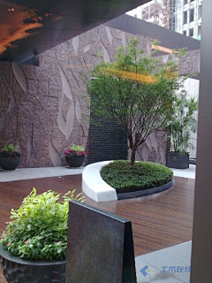 苛·苛·苛儿采集到1