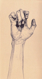 Hand : beautiful henrietta harris drawings: 
