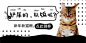 新年猫粮促销活动淘宝banner模板素材_在线设计淘宝banner_Fotor在线设计平台