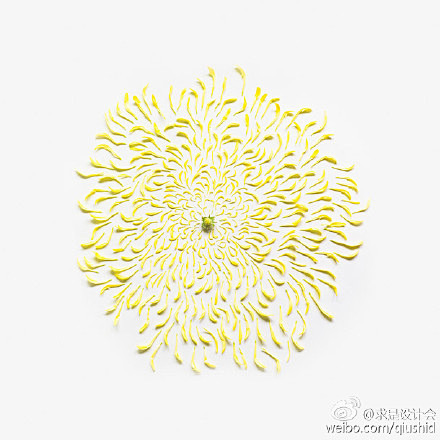 #求是爱设计# 花的解构 by 新加坡艺...
