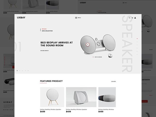 Product Page