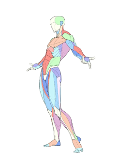 maersi采集到绘画