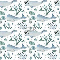 水彩插图图片-商业图片-正版原创图片下载购买-Veer图库