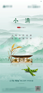 小满节气海报-源文件
