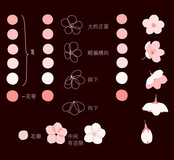 【绘画教程】【美腻的樱花绘制教程】_厚涂...